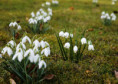 /album/sklenene-kvetiny-a-kvety/img-4096-2-jpg/